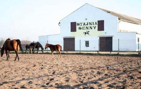Noclegi Przy Stajni Senny - Horse Riding ليبا المظهر الخارجي الصورة